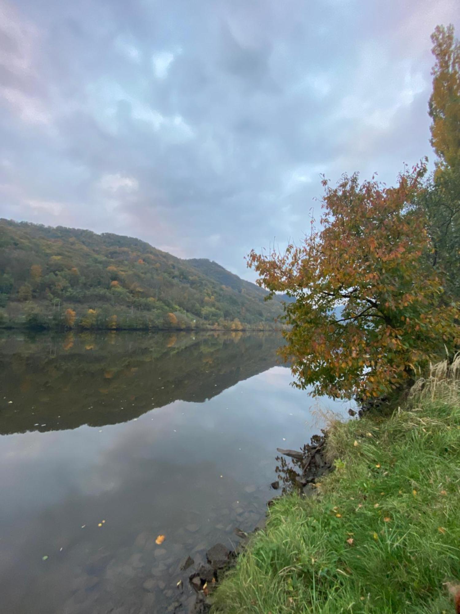 Sebuzinka Bed & Breakfast Usti nad Labem Ngoại thất bức ảnh